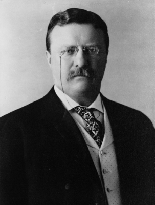 President_Theodore_Roosevelt,_1904 (303x400).jpg
